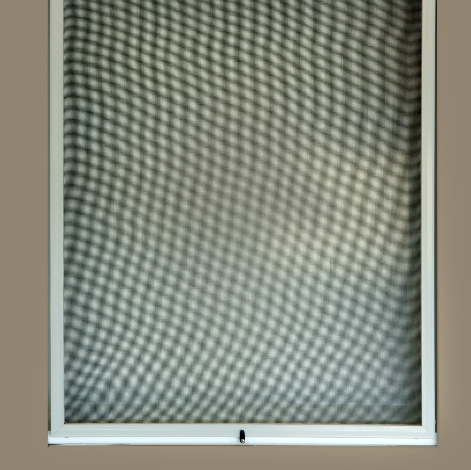 Framed Fly Screen Windows – Canterbury Blinds and Screens