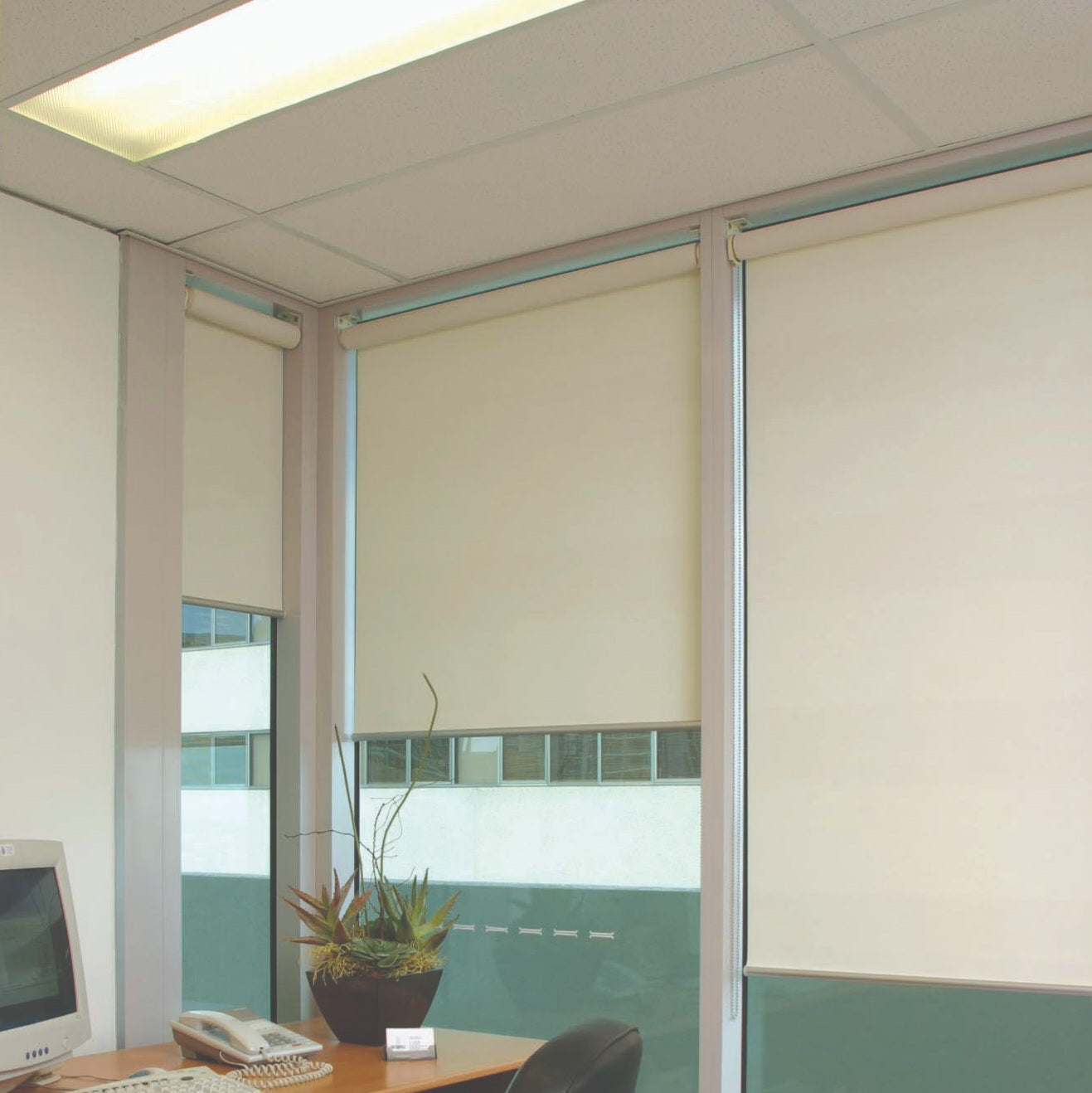 Canterbury Blinds and Screens - Roller/Sunscreen Blinds